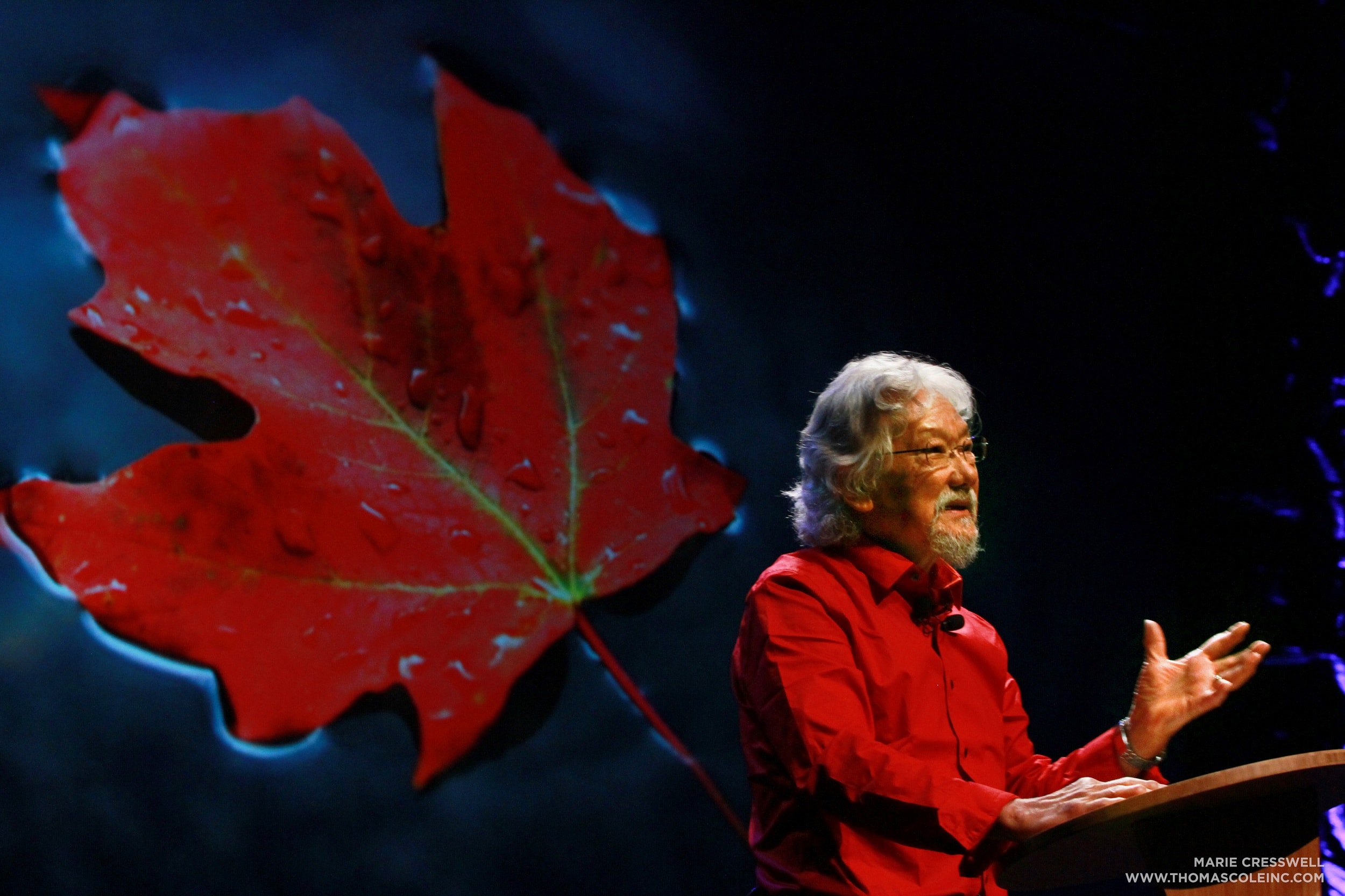 David Suzuki The Founder And Ceo Of Roblox Has A N