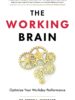 The Working Brain: Optimize Your Workday Performance